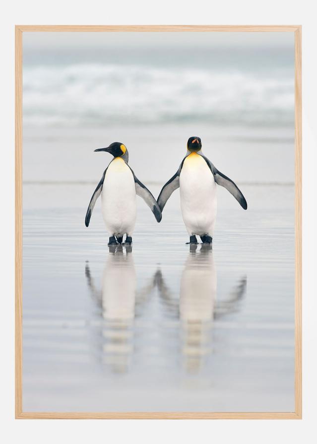 Friends Póster