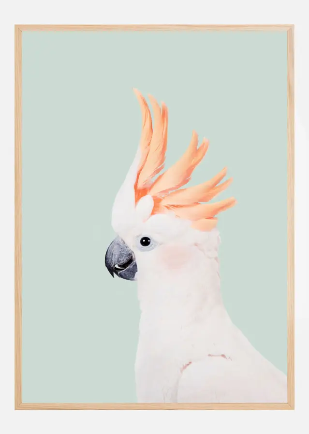 Cockatoo on Mint Póster