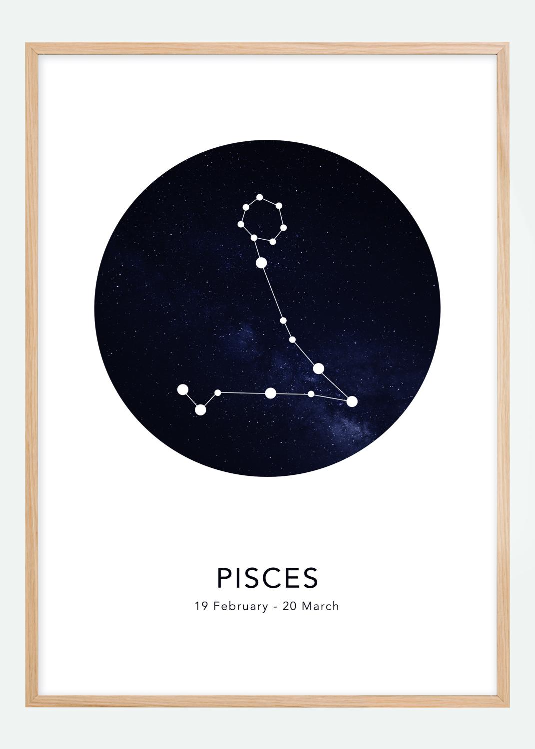 Product Image for Pisces Póster (21x29.7 cm (A4))