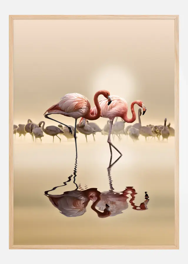 FLAMINGOS Póster