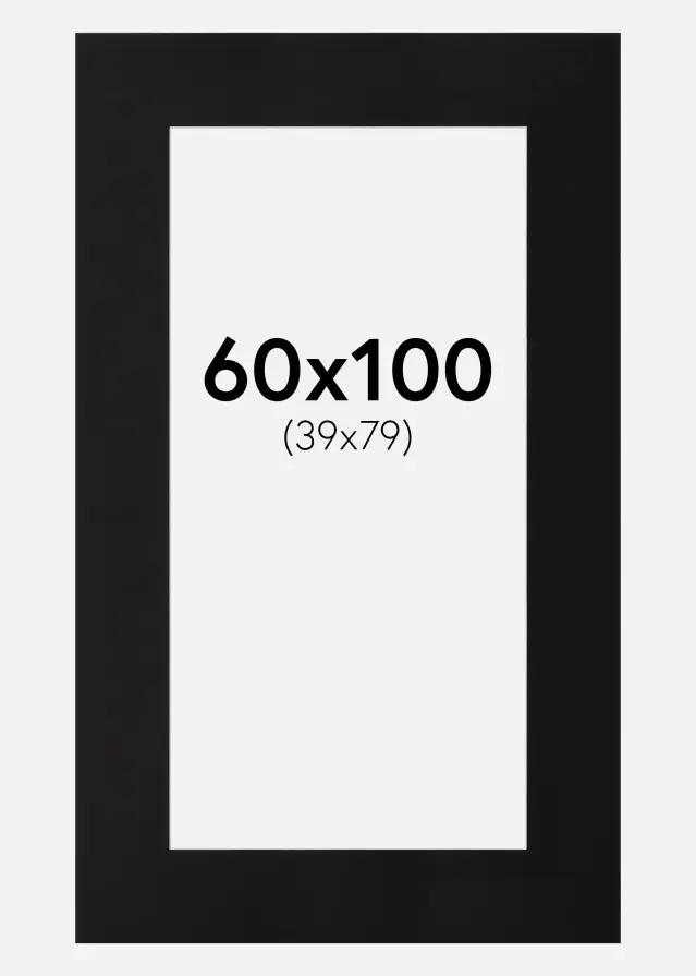 Paspartú Canson Negro (Borde interior blanco) 60x100 cm (39x79)