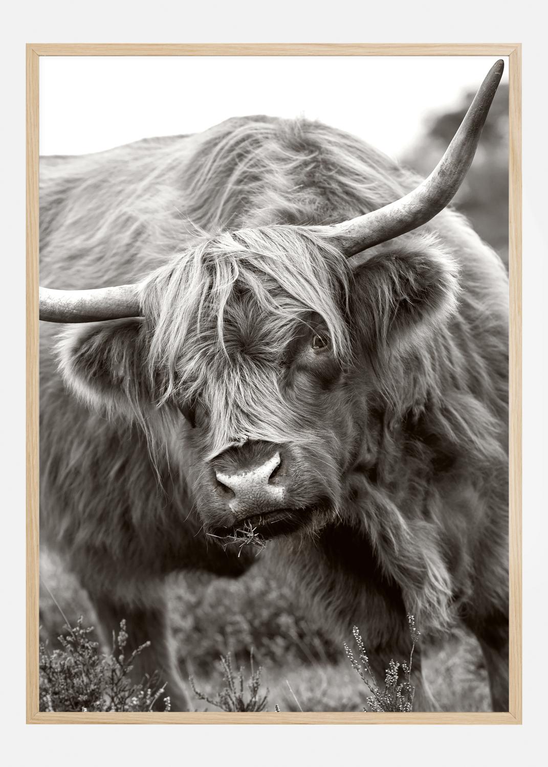 Product Image for The Bull Póster (21x29.7 cm (A4))