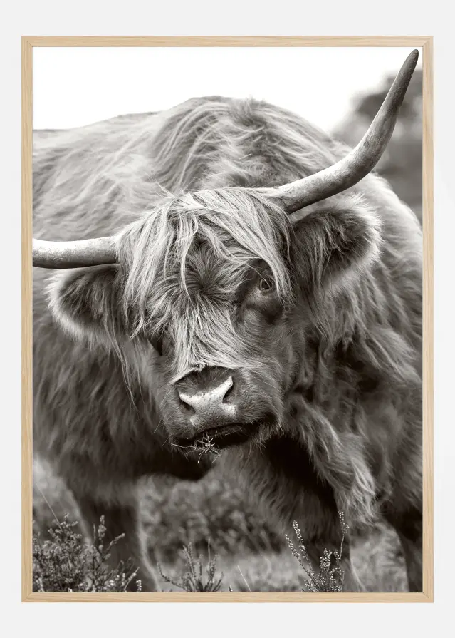 The Bull Póster