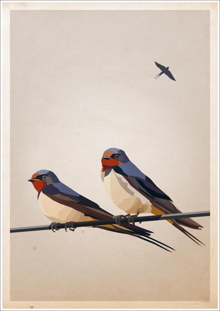 Swallows Póster