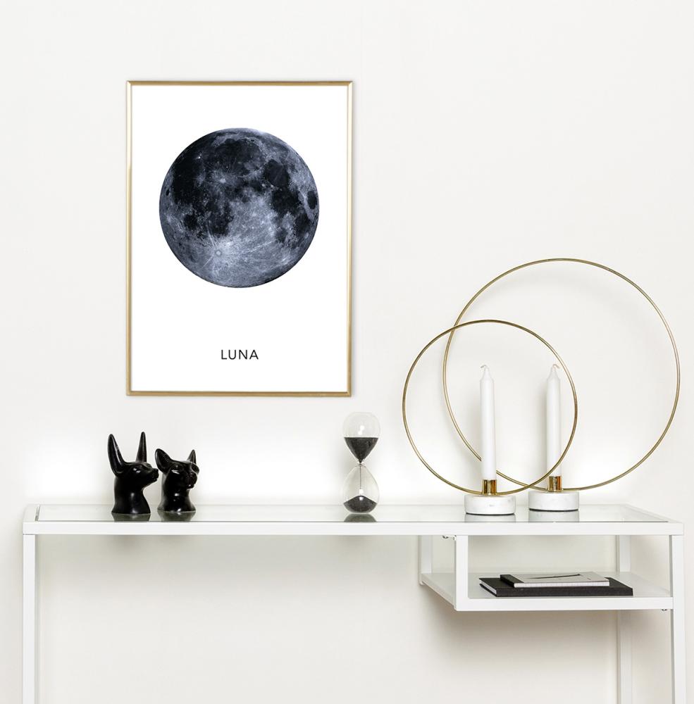 Luna Póster