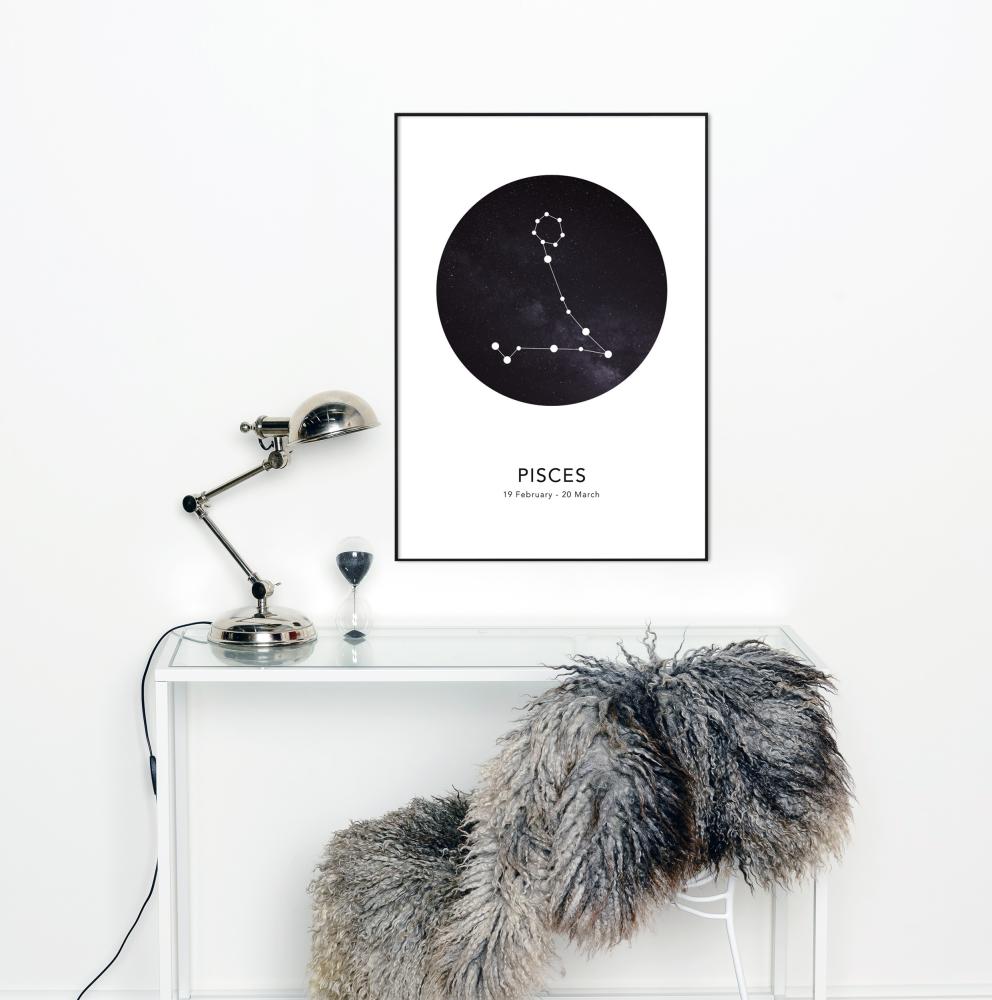 Pisces Póster