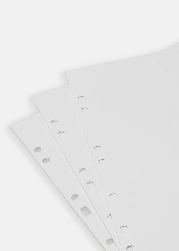 BGA Hojas para álbum SA4 - 30 Hojas blancas