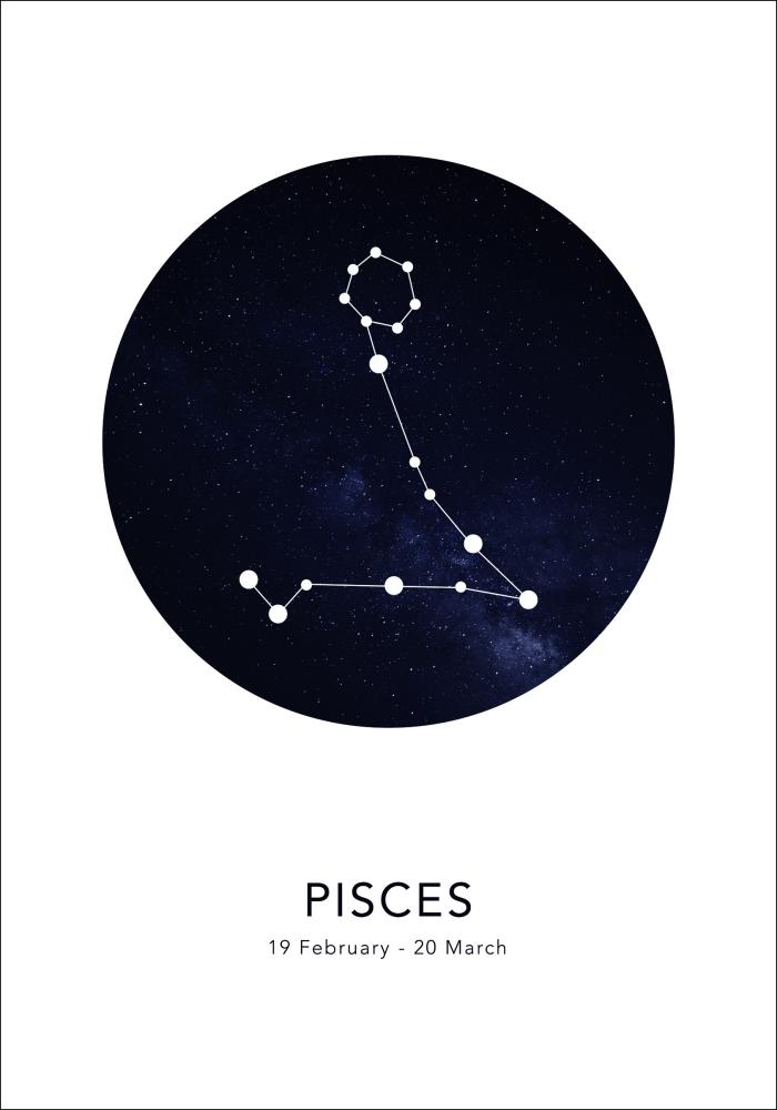 Pisces Póster