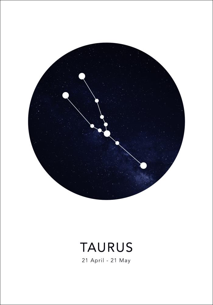 Taurus Póster