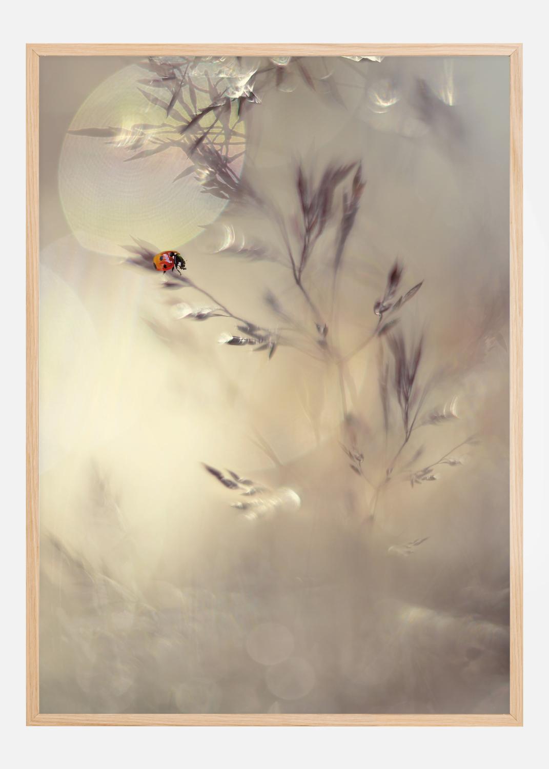 Product Image for Little Lady Póster (21x29.7 cm (A4))
