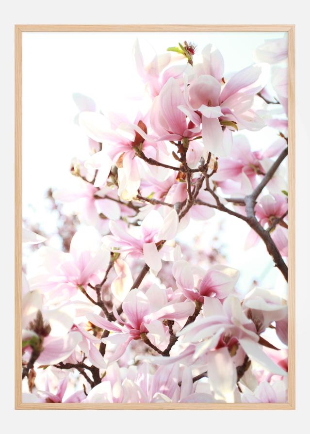 Cherry Trees Póster
