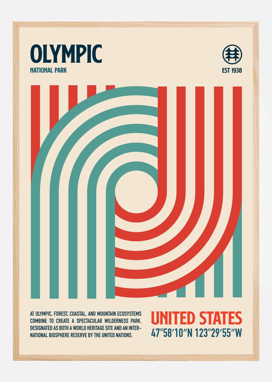 Product Image for Olympic National Park Travel Poster Póster (21x29.7 cm (A4))