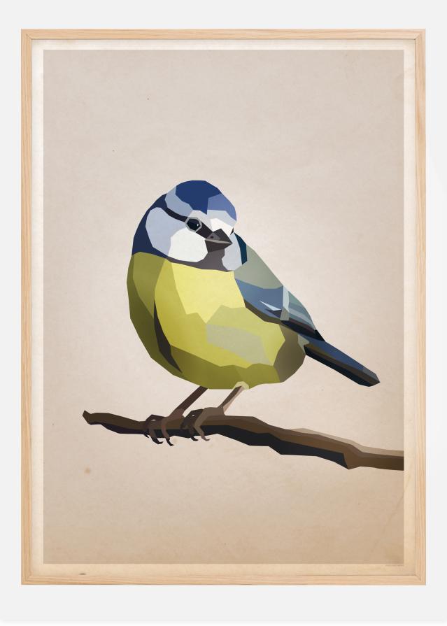 Blue tit Póster