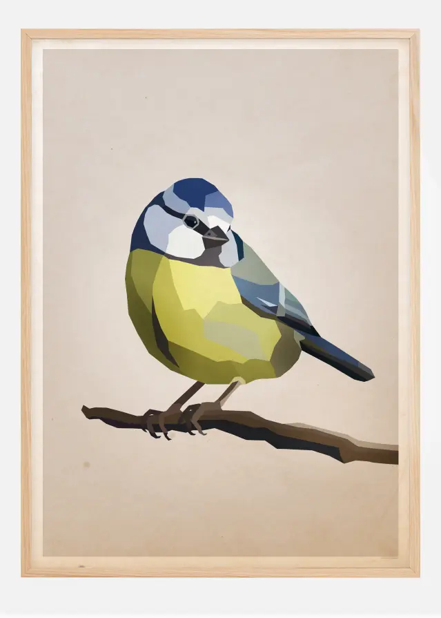 Blue tit Póster