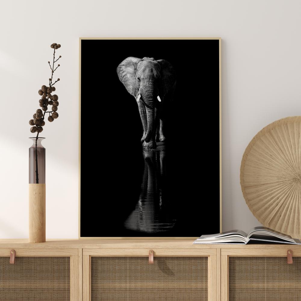 Elephant Póster