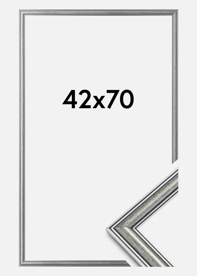 Marco Frigg Plateado 42x70 cm
