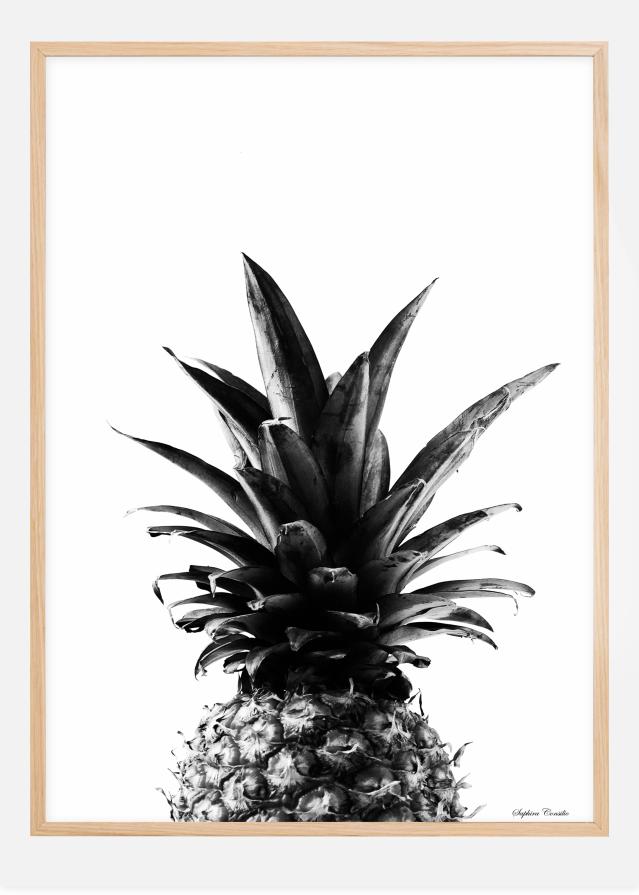 Pineapple B&W Póster