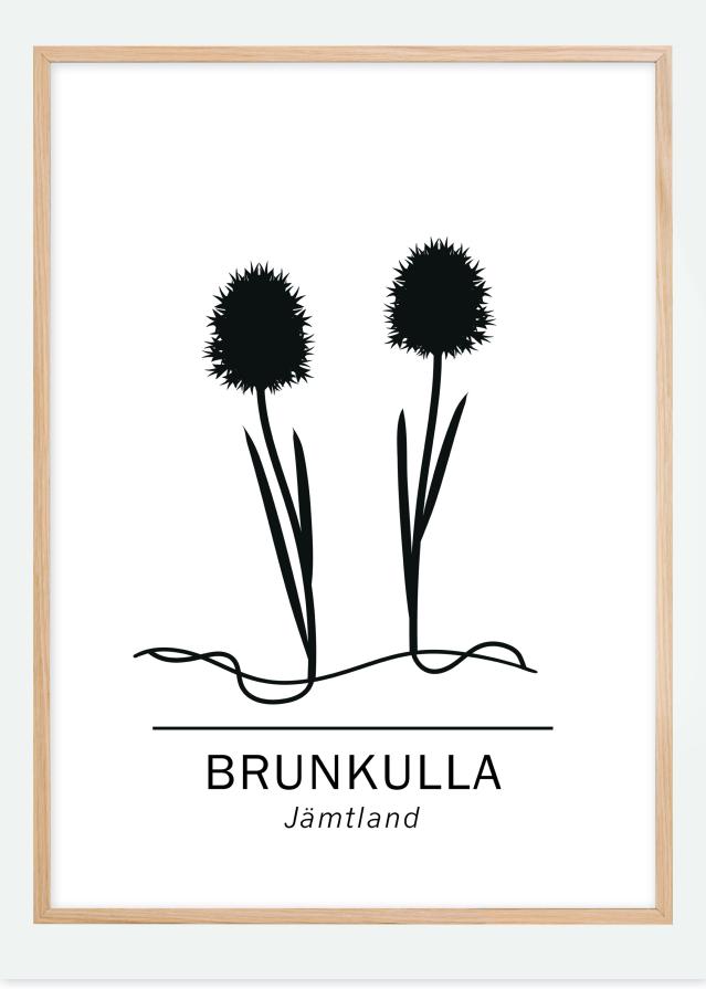 Brunkulla - Jämtland Póster