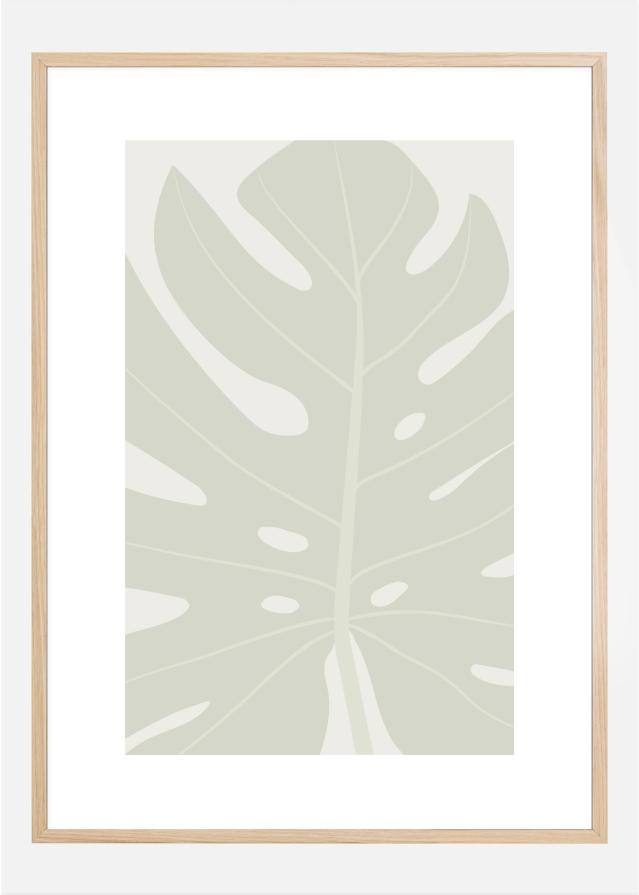 MONSTERA Póster