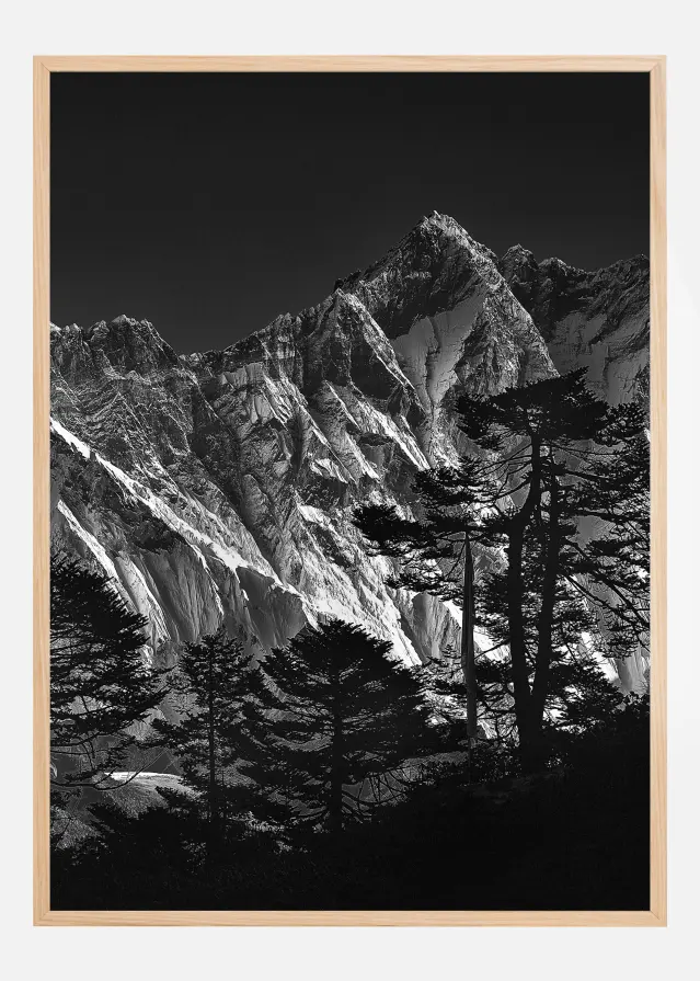 Everest view Póster