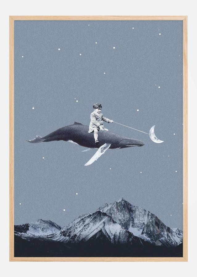 Aim for the moon Póster