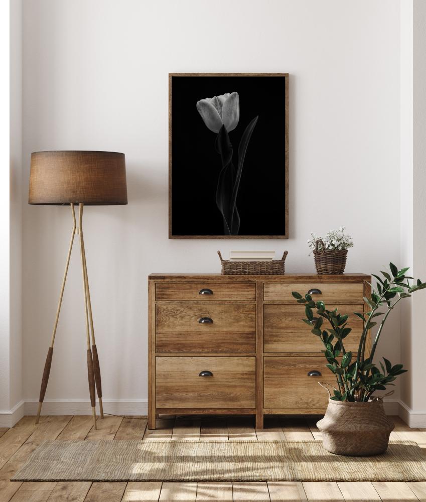 Tulip Póster