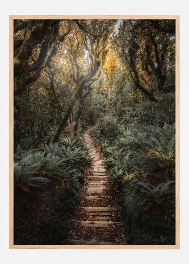 Narrow Path Póster