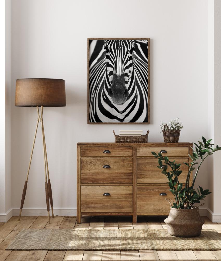 Zebra Póster