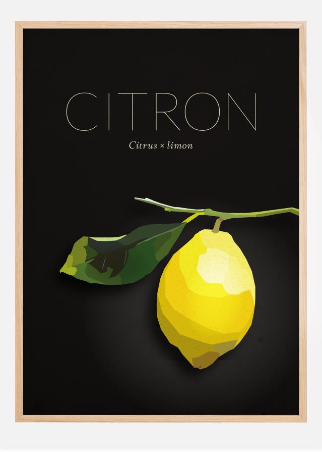 Citron Póster