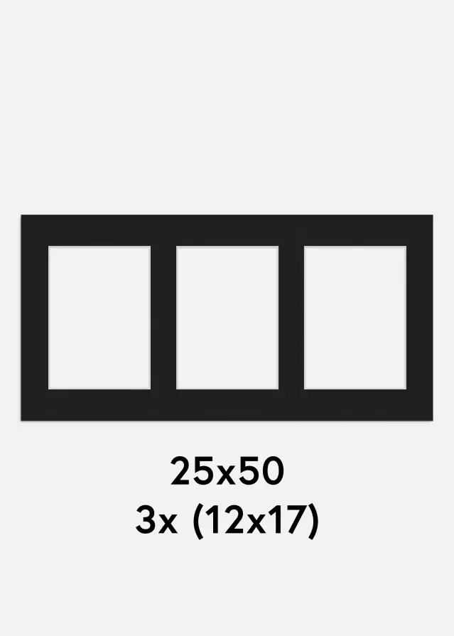 Paspartú Negro 25x50 cm - Collage 3 Fotos (12x17 cm)