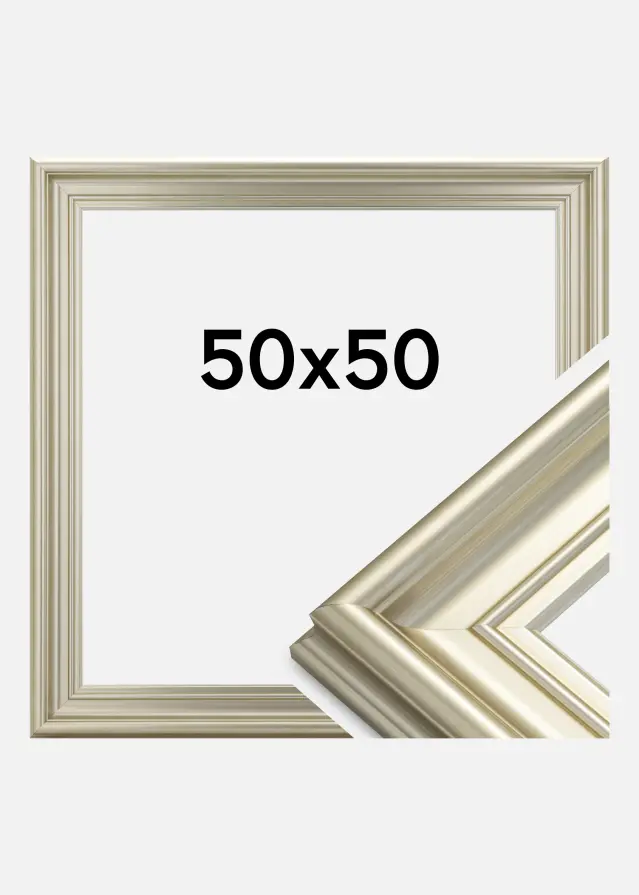 Marco Mora Premium Plateado 50x50 cm