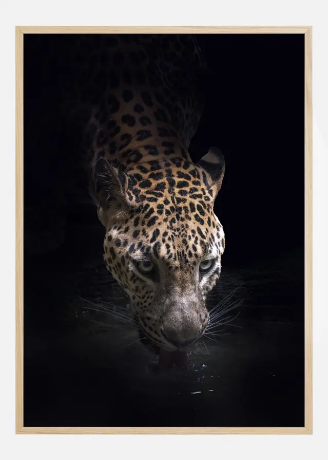 Drinking Póster