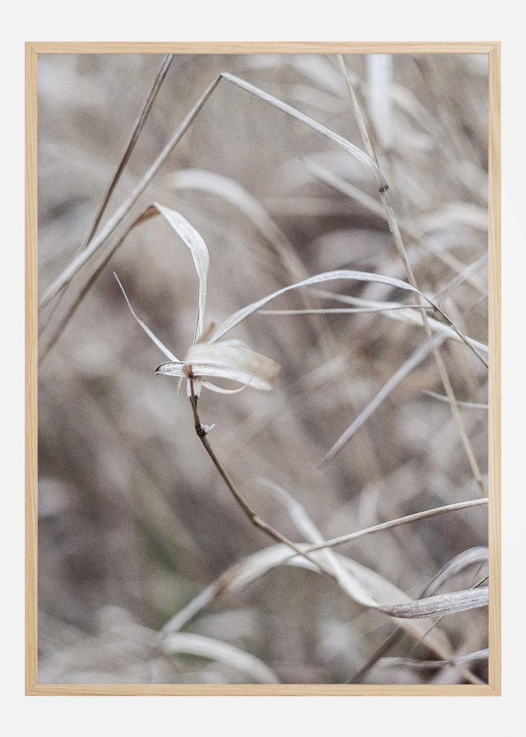 Product Image for Beige Póster (21x29.7 cm (A4))