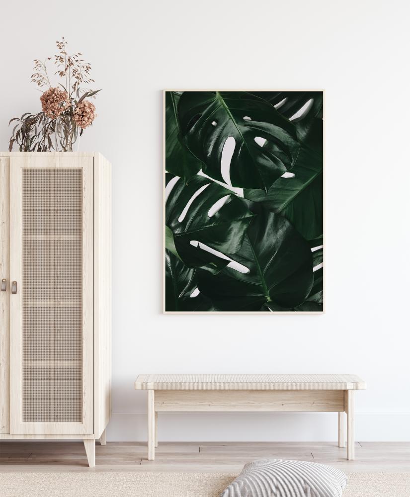 Monstera Plant I Póster