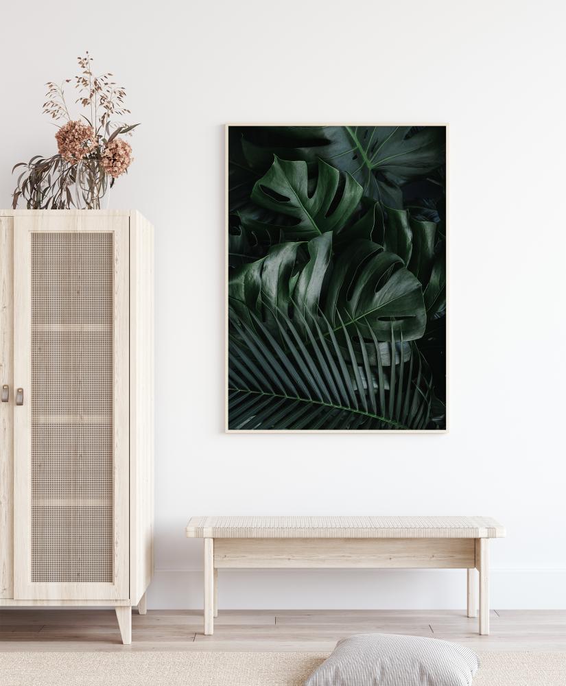 Monstera Plant II Póster