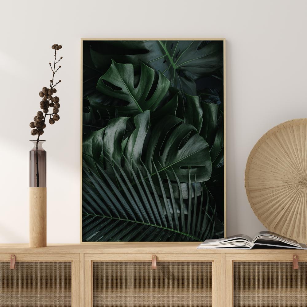 Monstera Plant II Póster