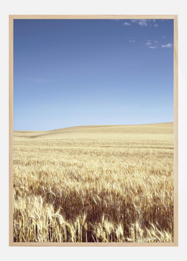Beige Fields Póster
