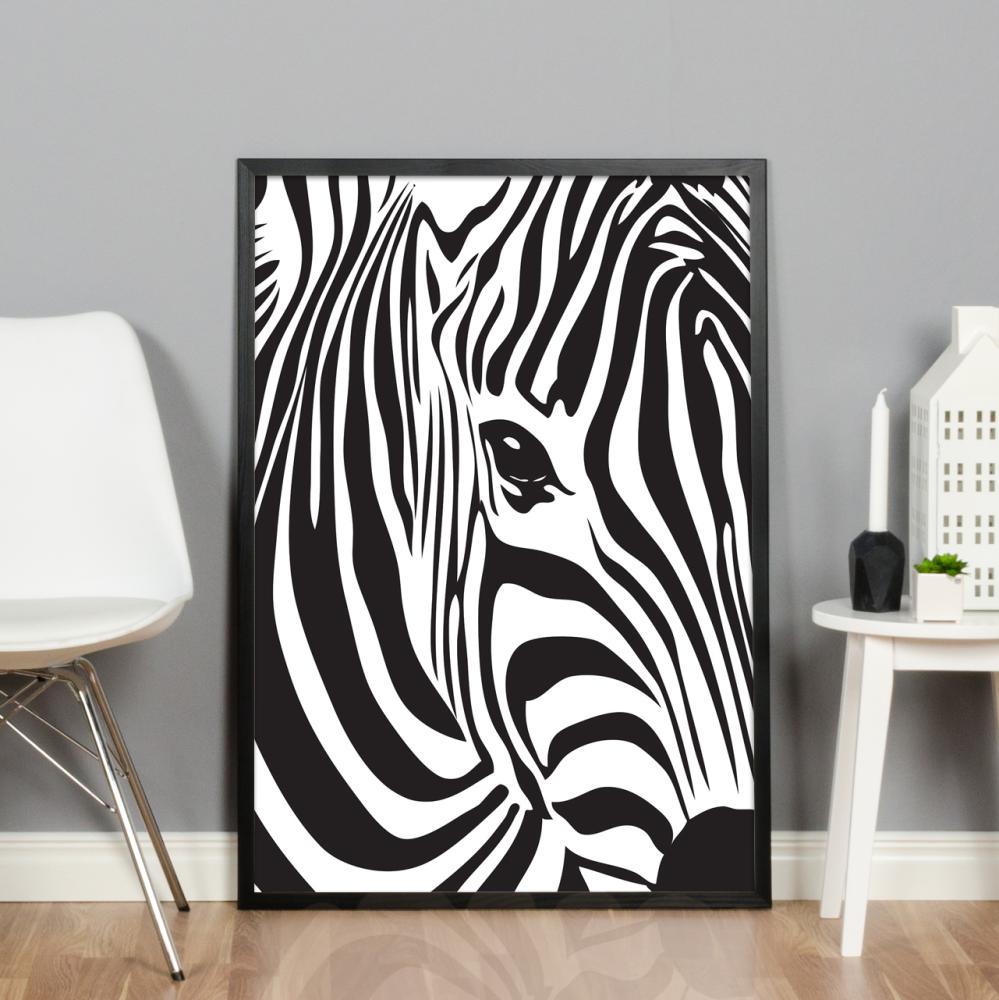 Zebra Póster