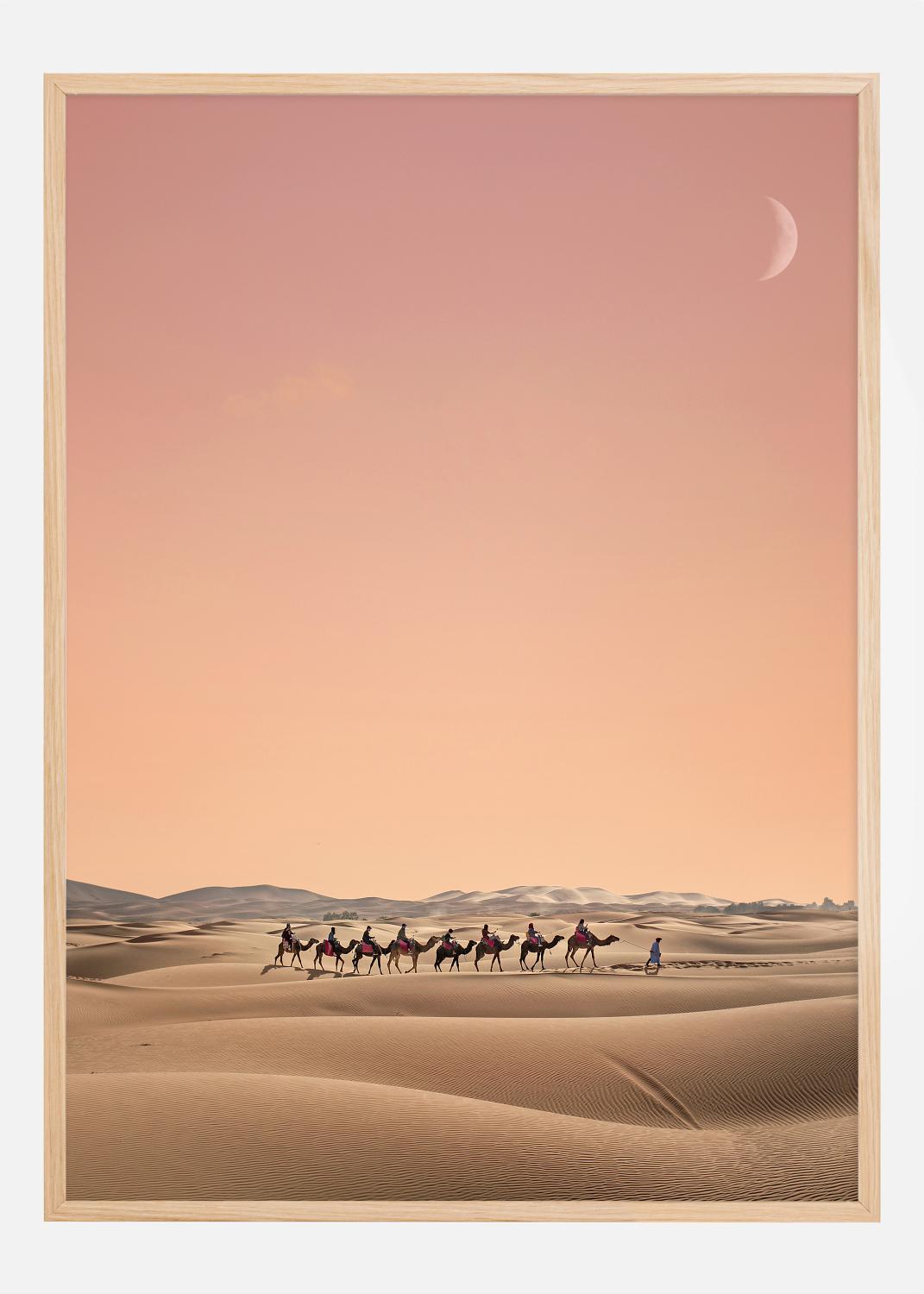 Product Image for Eight Camels Póster (21x29.7 cm (A4))