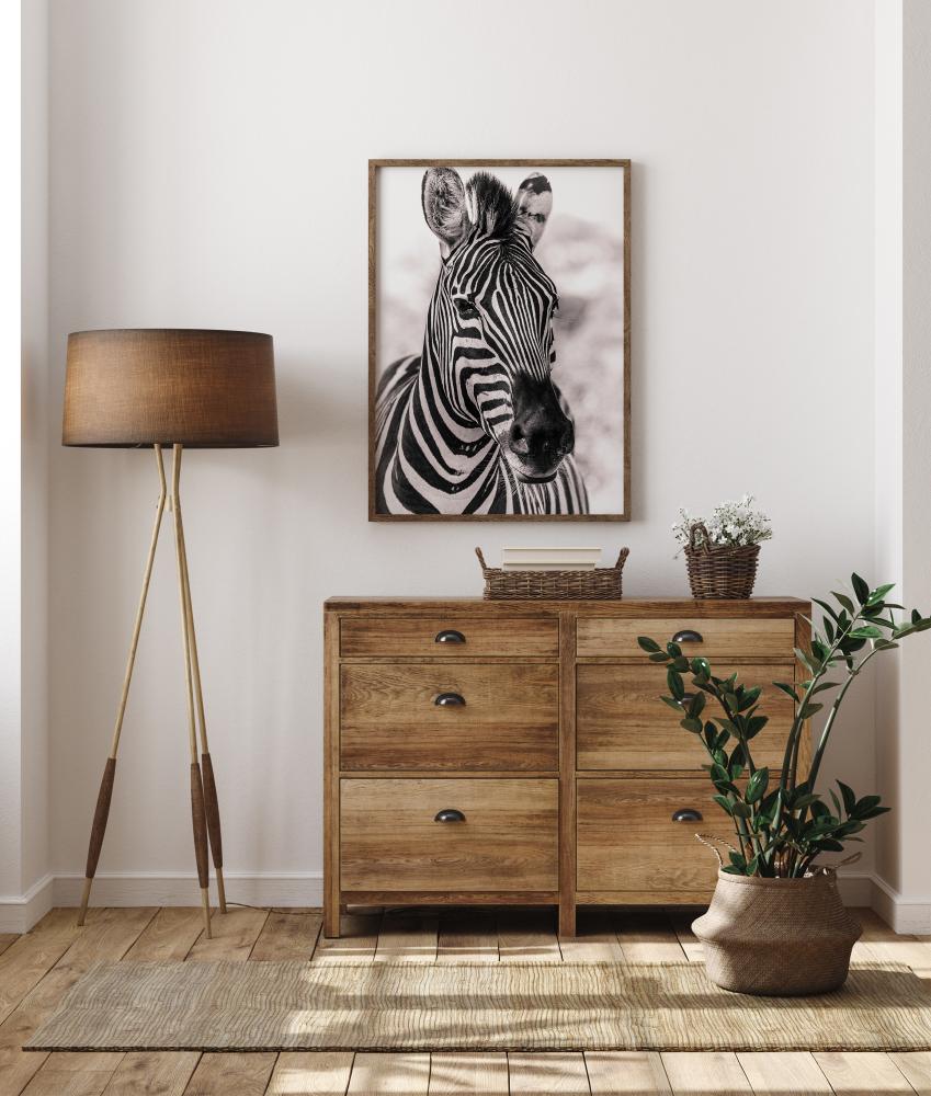 Zebra Póster