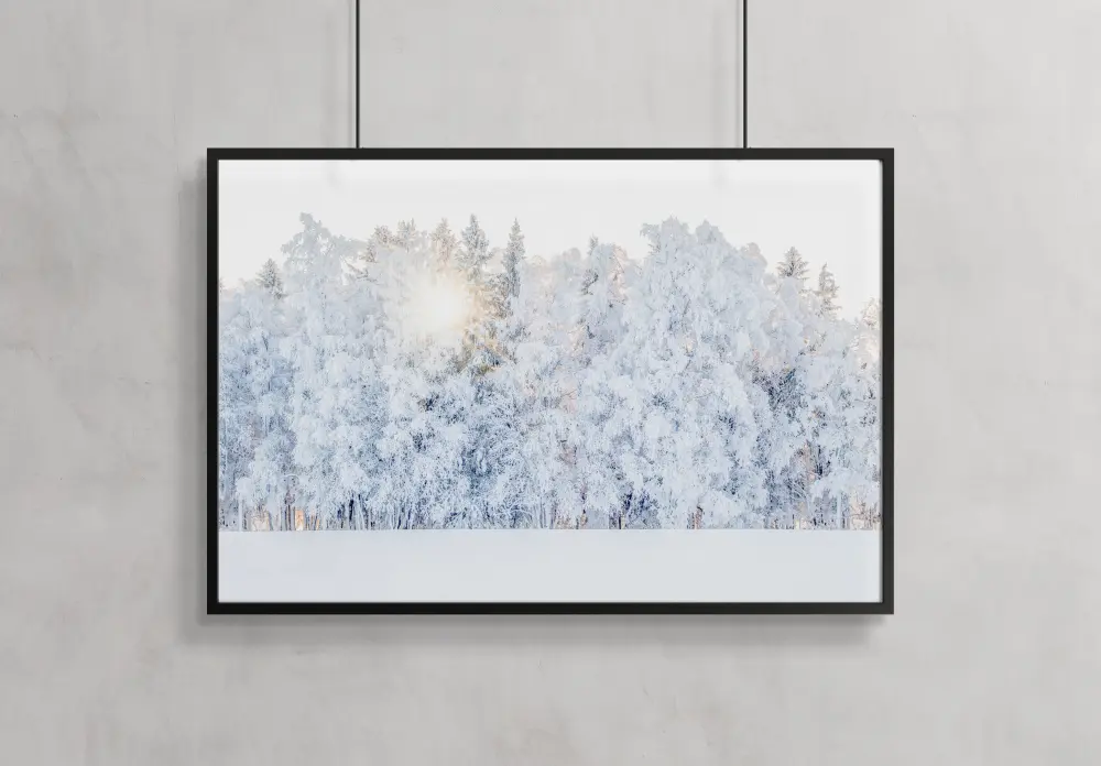 Winter light Póster