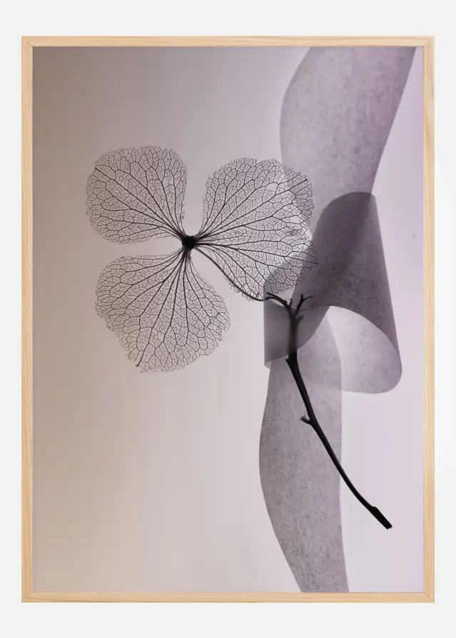 Flower Póster