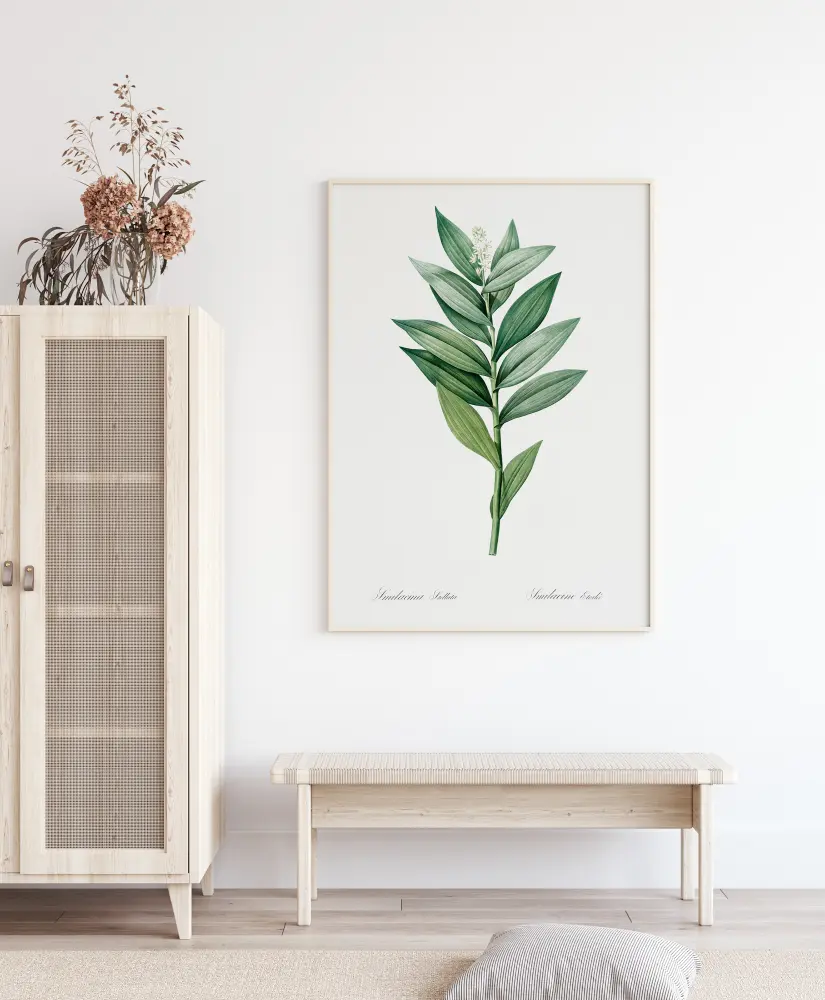 Smilacina Stellata Póster