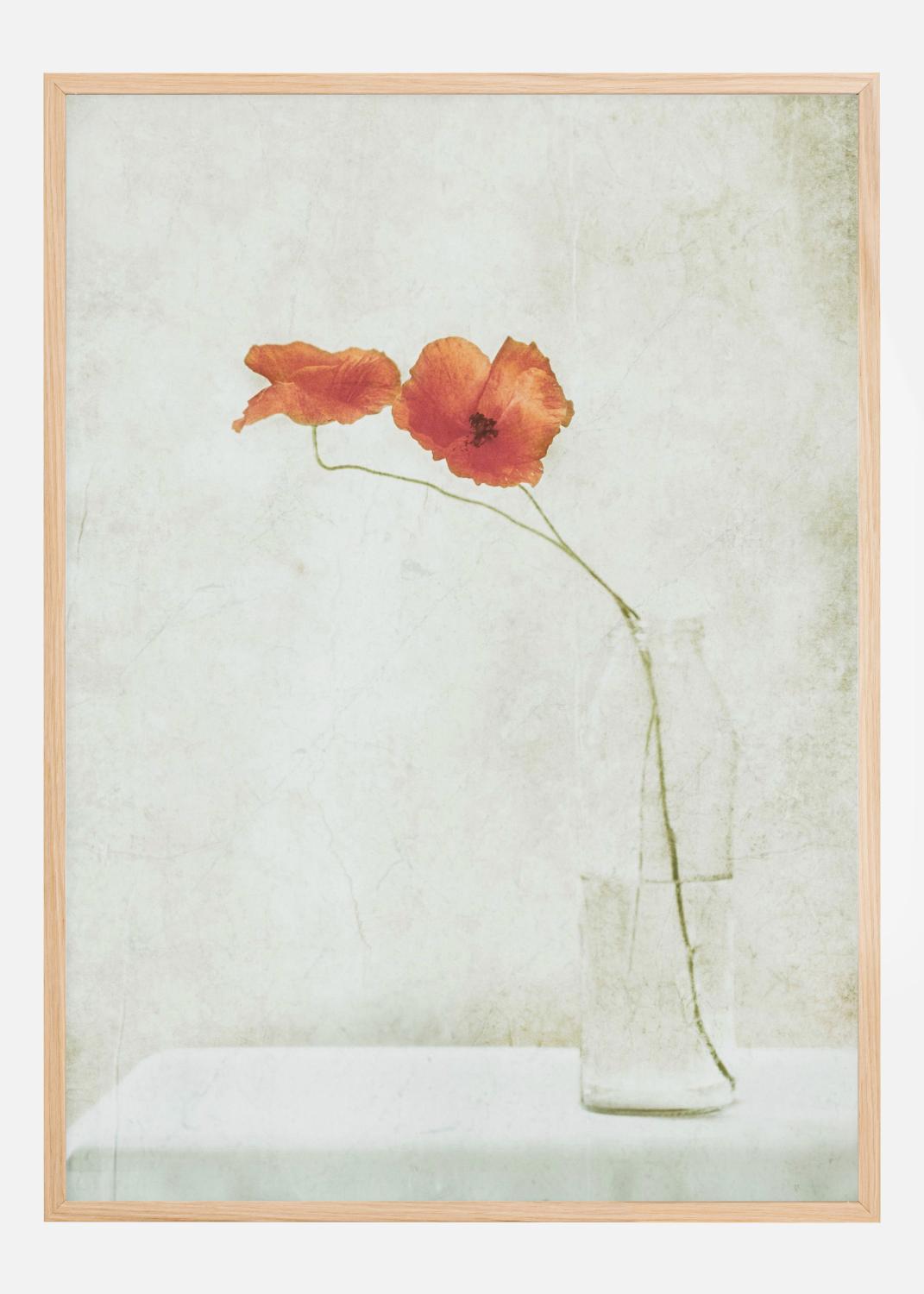 Product Image for Two Poppies In A Bottle Póster (30x40 cm)