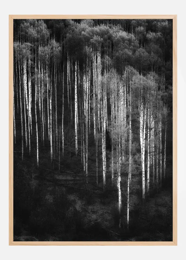 Forest Art Póster