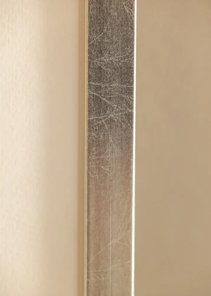 Marco Minerva Vidrio acrílico Plateado 50x65 cm