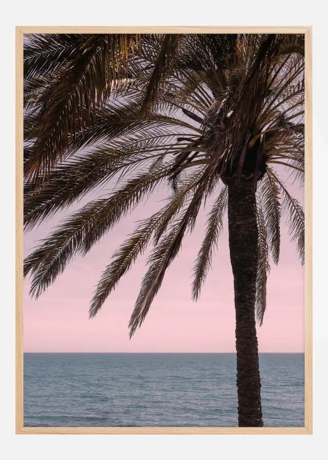 Palm Beach I Póster