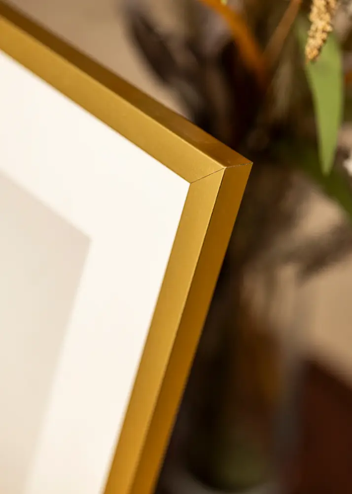 Marco Minerva Vidrio acrílico Dorado 45x60 cm