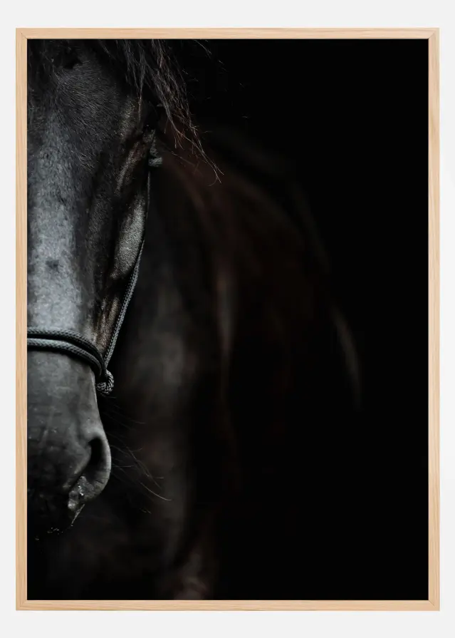 Dark Horse Póster