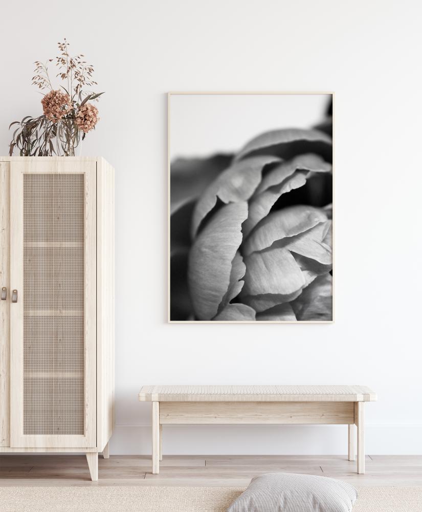 Peony B&W Póster